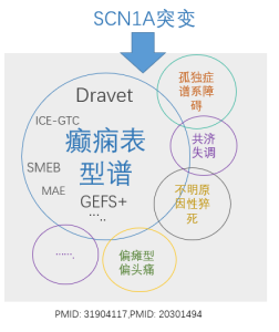 截图-20230609180009