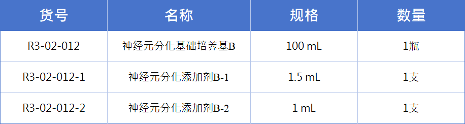 前脑前体3.jpg