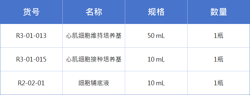 心肌细胞2.png