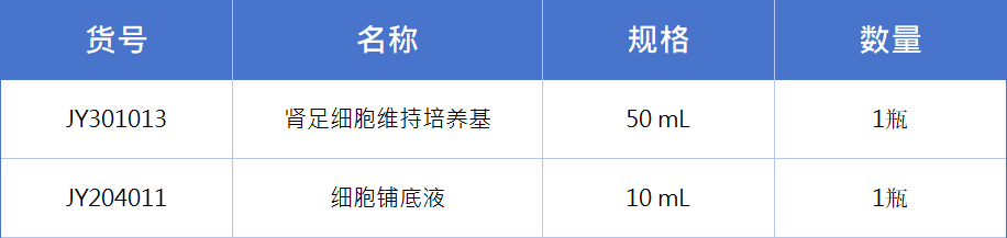 肾足细胞1.jpg