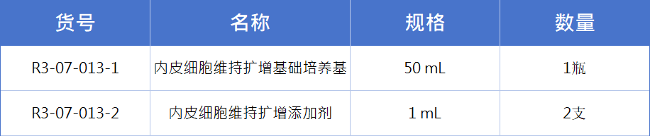 内皮细胞5.jpg