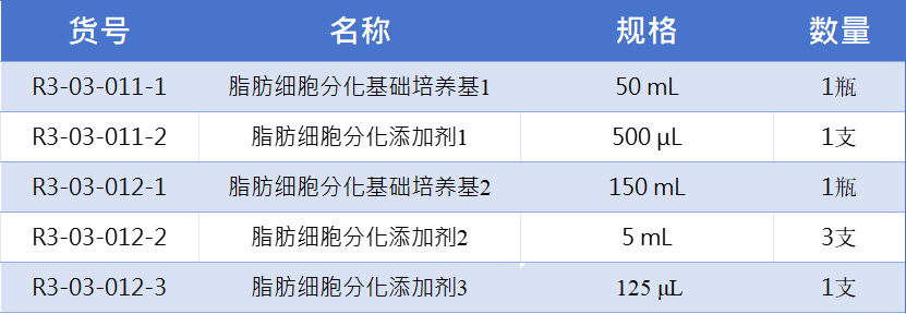 脂肪1.jpg