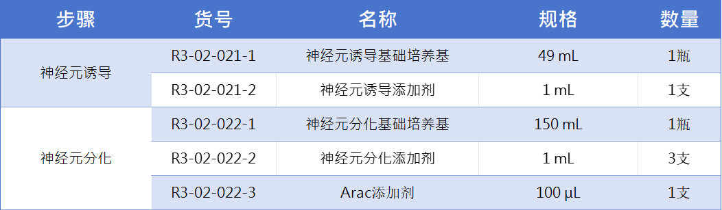 N2G2介导神经元.jpg