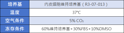 内皮细胞培养条件.png