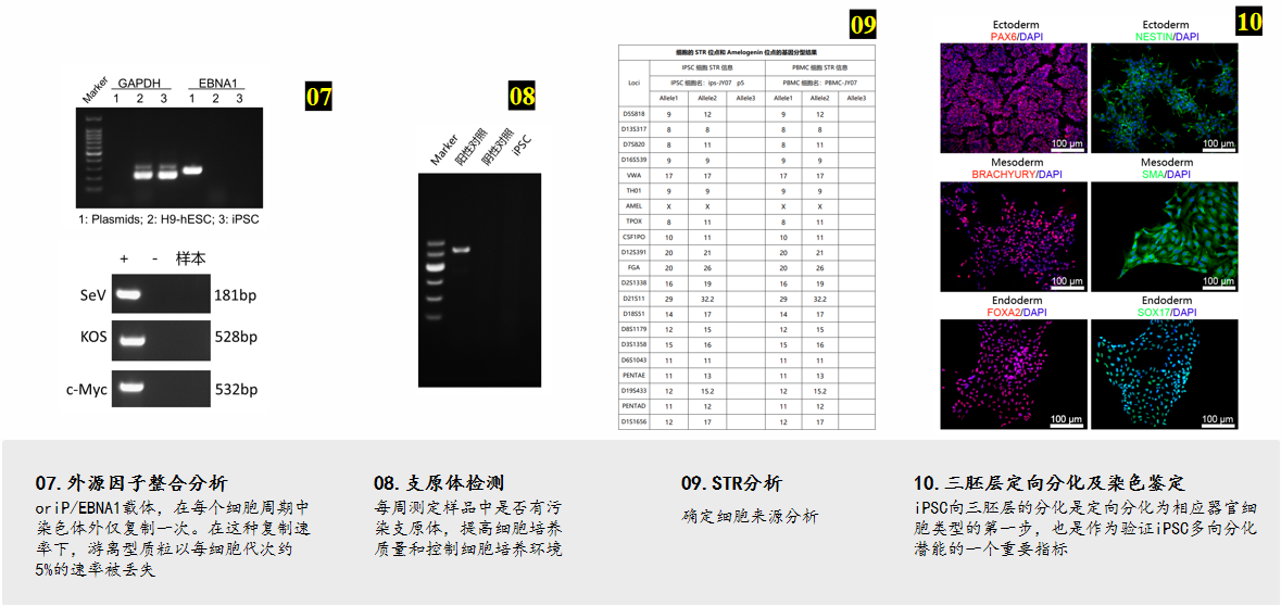 截图-20250919173234