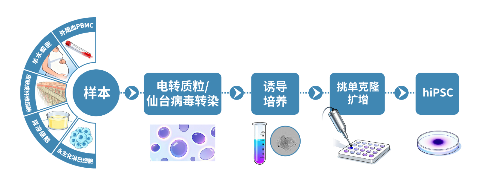 建系.jpg 建系.jpg